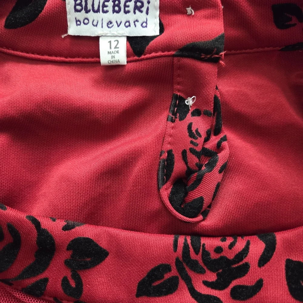 Bluebery Boulevard Red and Black Floral Kids Dress Sz 12